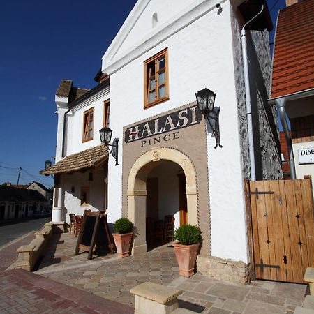 Halasi Pince Panzió Villány Exterior foto