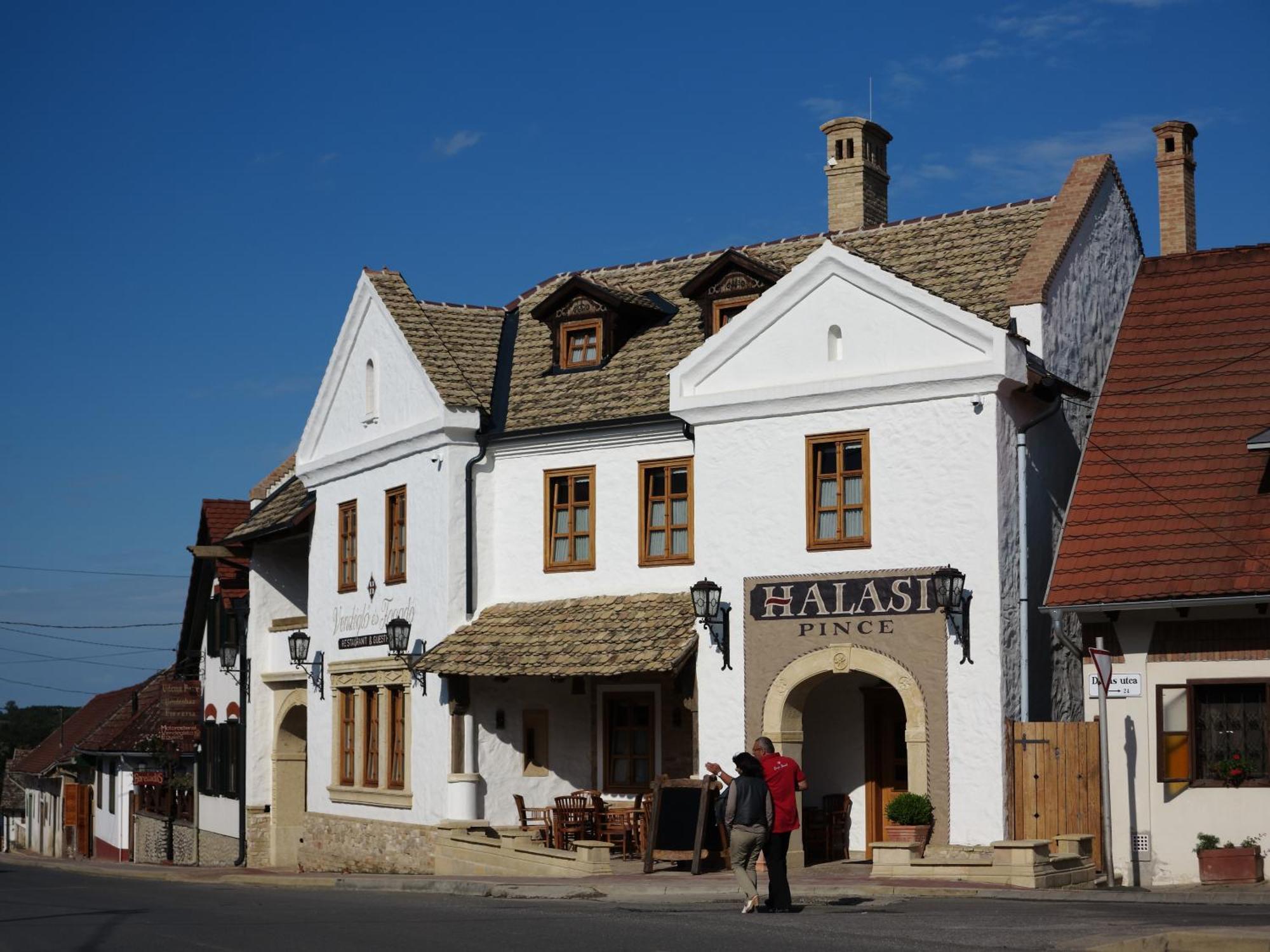 Halasi Pince Panzió Villány Exterior foto
