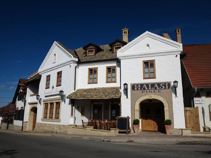 Halasi Pince Panzió Villány Exterior foto