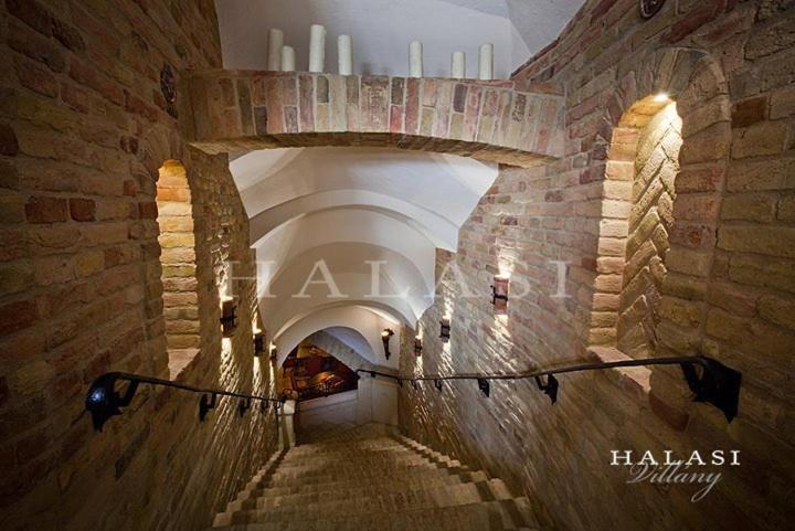 Halasi Pince Panzió Villány Exterior foto